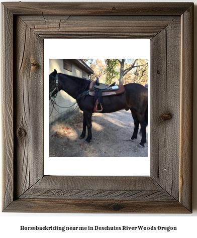 horseback riding near me in Deschutes River Woods, Oregon